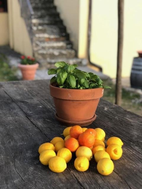 Agriturismo La Posta Reale كاستيليون فيبوكي المظهر الخارجي الصورة