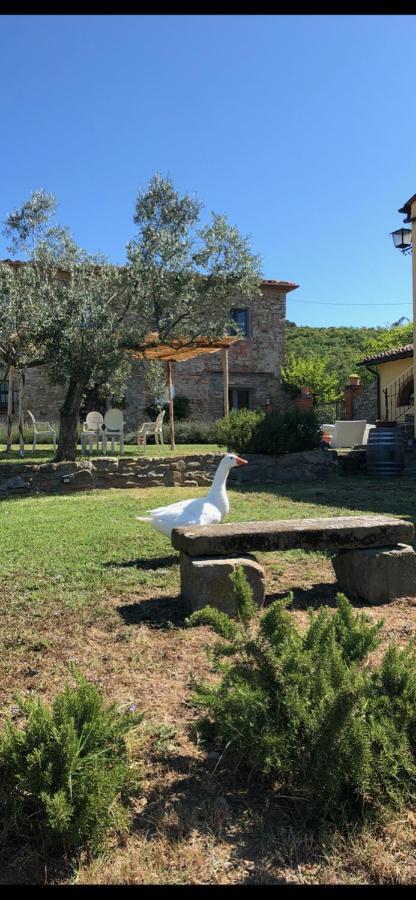 Agriturismo La Posta Reale كاستيليون فيبوكي المظهر الخارجي الصورة