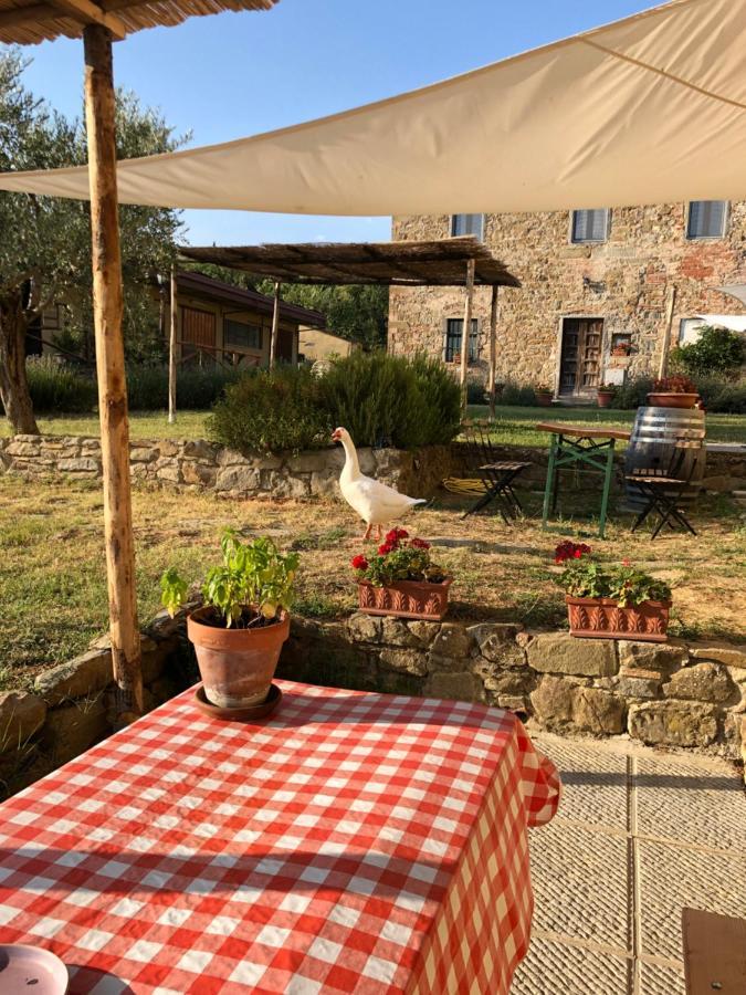 Agriturismo La Posta Reale كاستيليون فيبوكي المظهر الخارجي الصورة