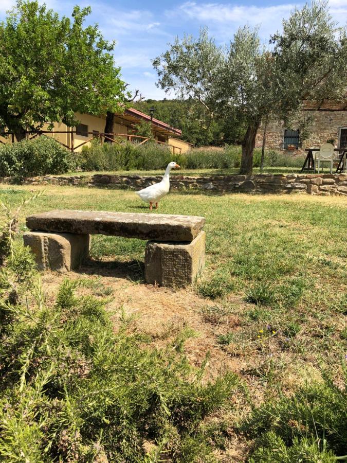 Agriturismo La Posta Reale كاستيليون فيبوكي المظهر الخارجي الصورة