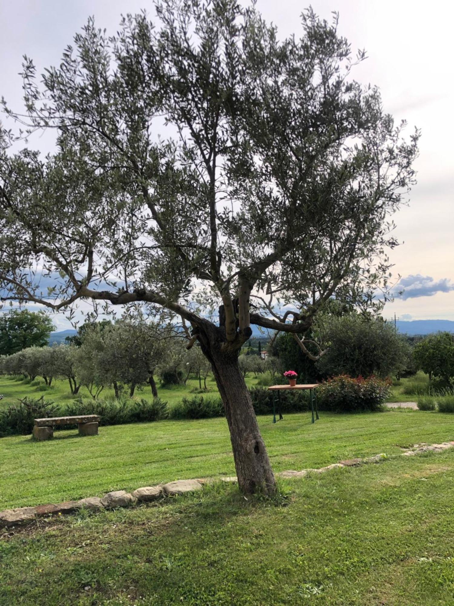Agriturismo La Posta Reale كاستيليون فيبوكي المظهر الخارجي الصورة