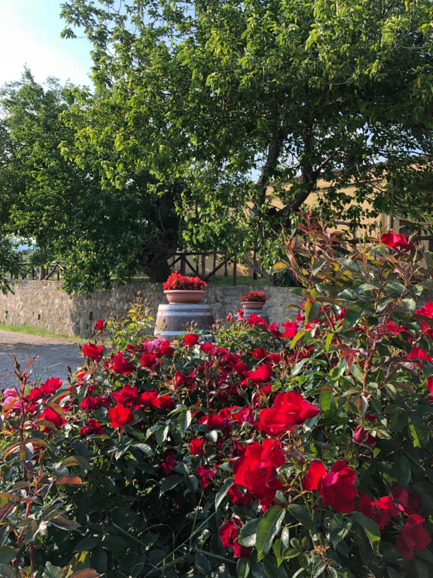 Agriturismo La Posta Reale كاستيليون فيبوكي المظهر الخارجي الصورة