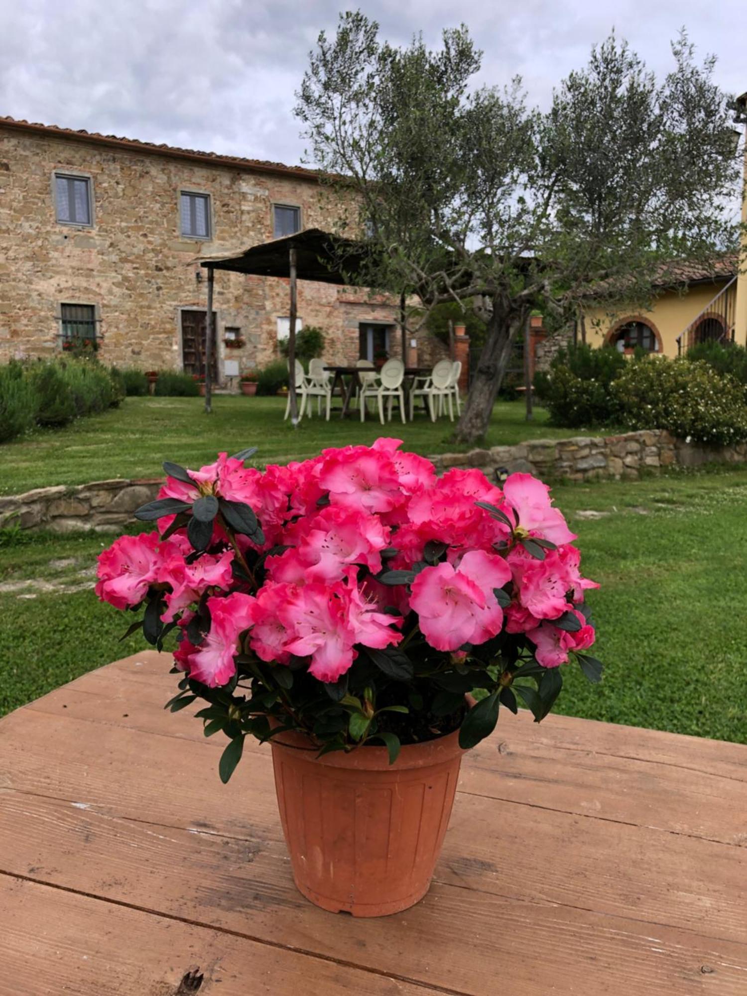 Agriturismo La Posta Reale كاستيليون فيبوكي المظهر الخارجي الصورة