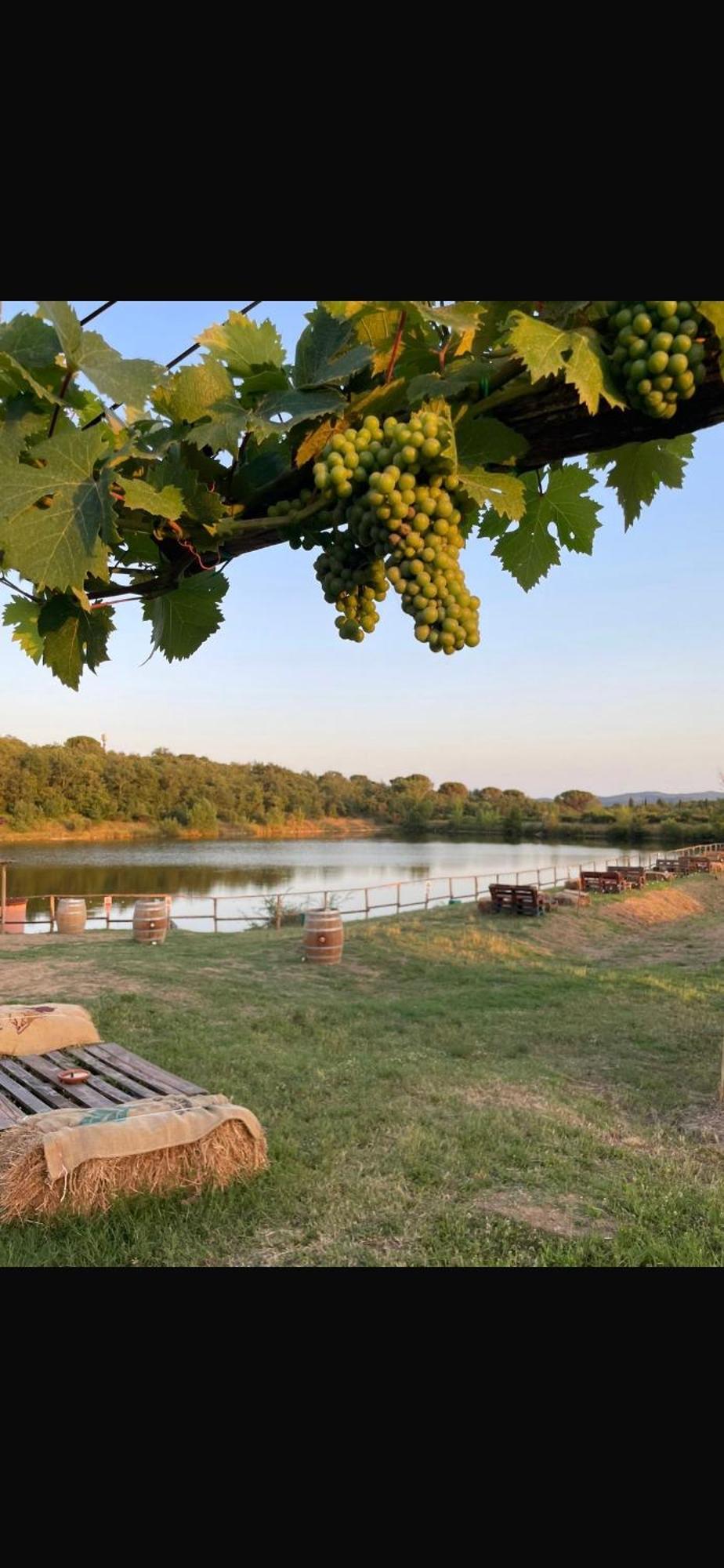 Agriturismo La Posta Reale كاستيليون فيبوكي المظهر الخارجي الصورة
