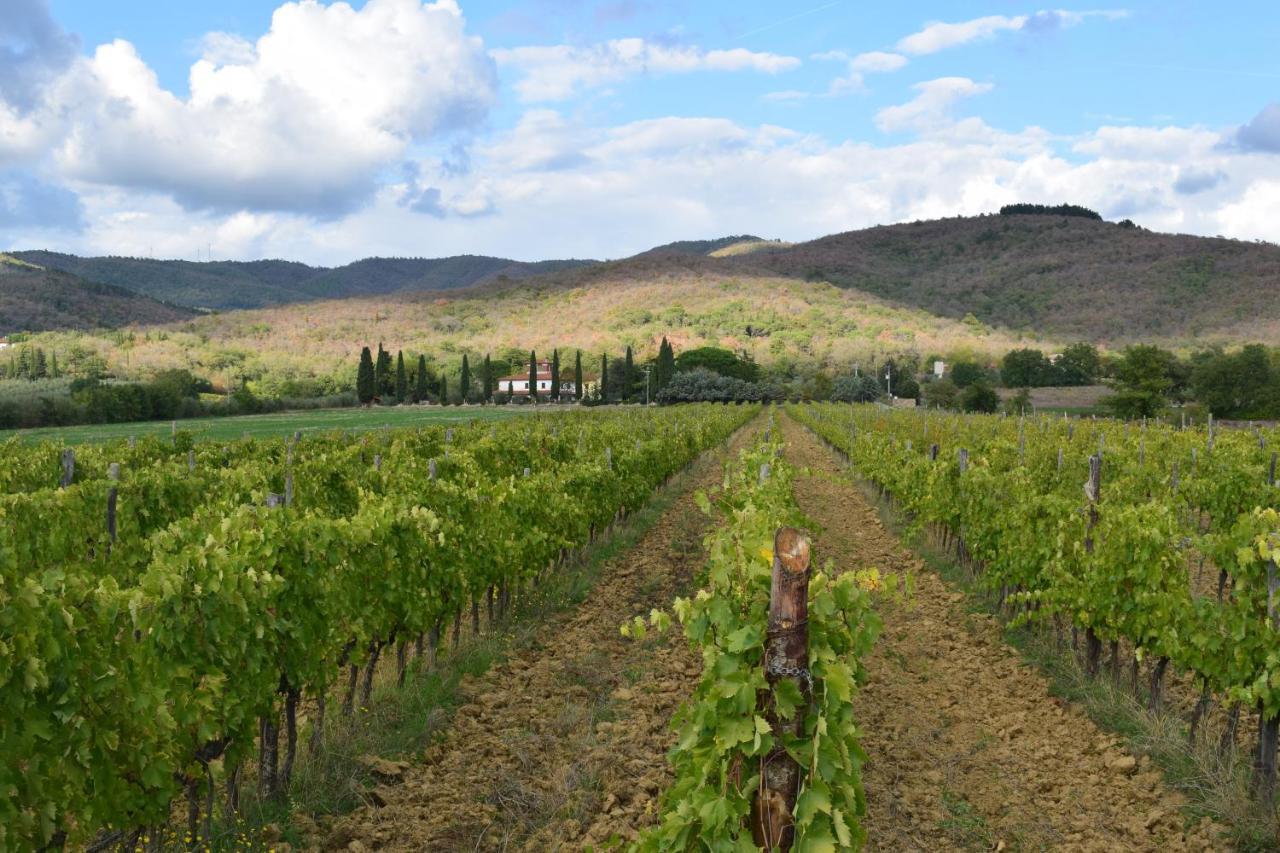 Agriturismo La Posta Reale كاستيليون فيبوكي المظهر الخارجي الصورة